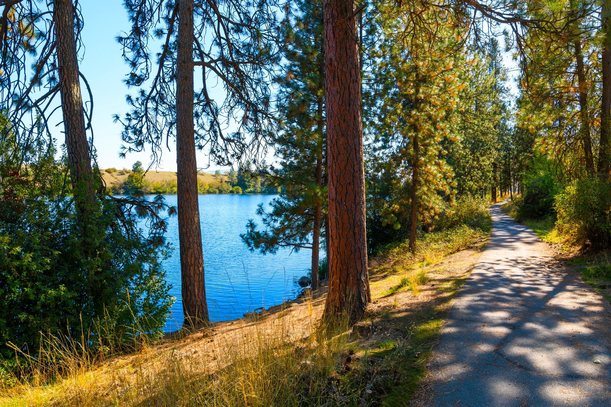 Peaceful nature path in Washington State